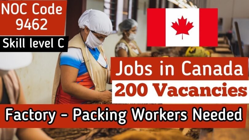 High Paying Jobs That Comes With Canada Visa Sponsorships For Foreigners